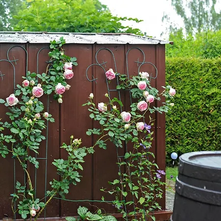 Ruheoase Kummerower Holiday home Kummerow (Mecklenburgische Seenplatte)