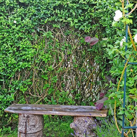 Ruheoase Kummerower *