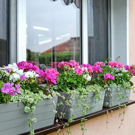 Ruheoase Kummerower Kummerow (Mecklenburgische Seenplatte)