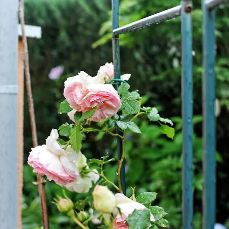 Ruheoase Kummerower Holiday home