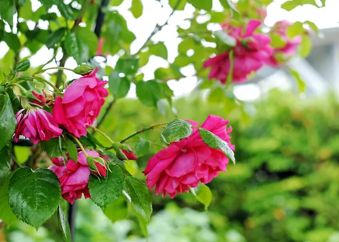 Ruheoase Kummerower Prázdninový dům Kummerow (Mecklenburgische Seenplatte)