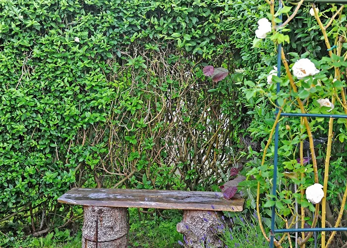 Ruheoase Kummerower *