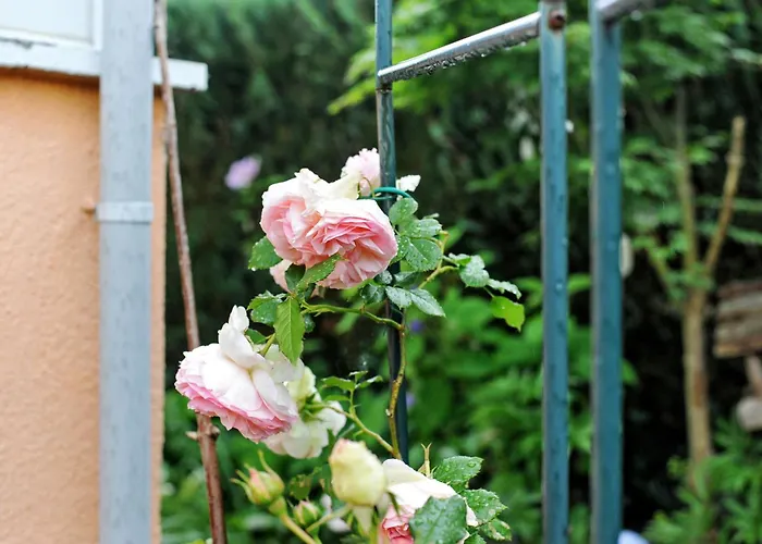 Ruheoase Kummerower Prázdninový dům